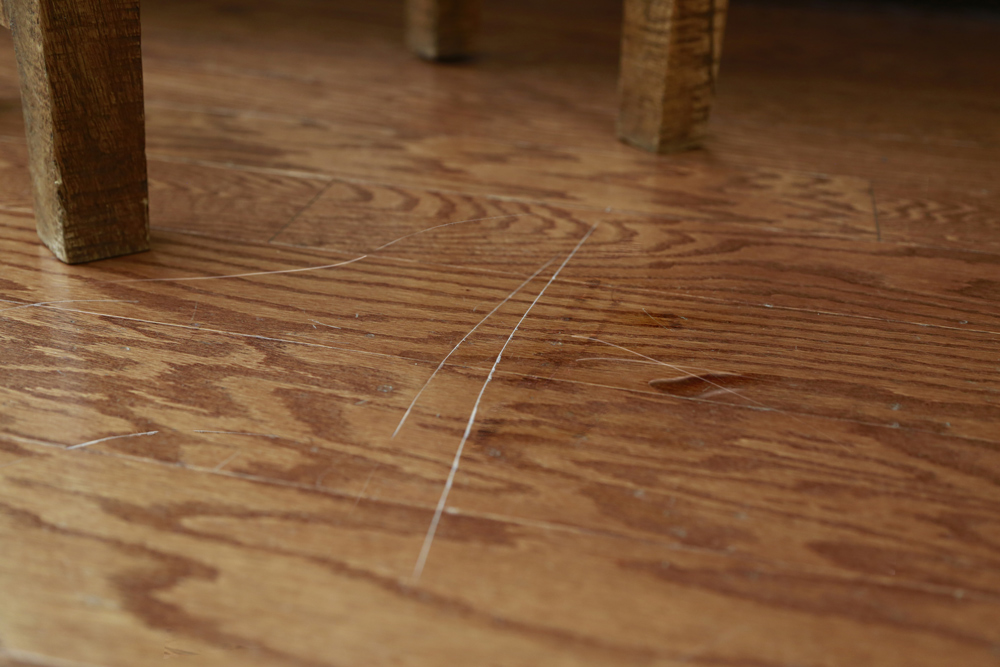 Scratched Floor Scratched Floor