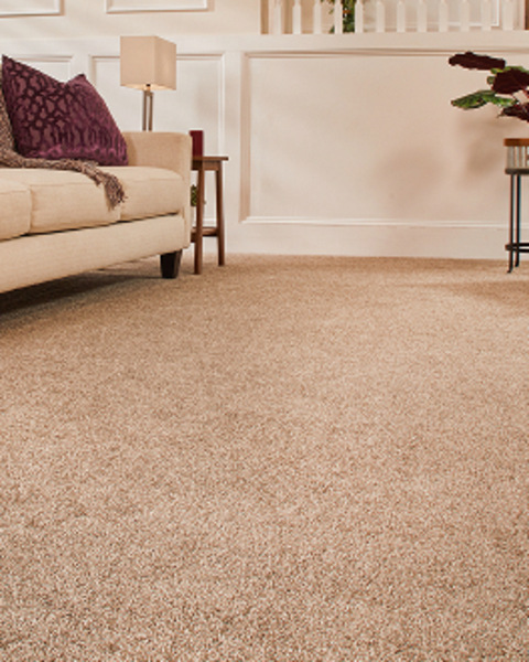 Carpet