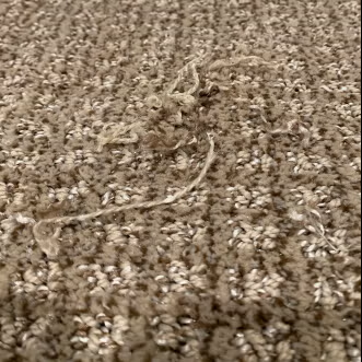 Snags or Unraveling
